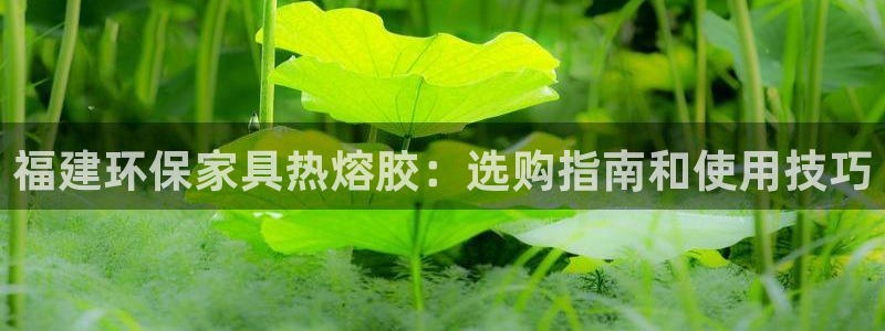 杏耀平台登陆测速