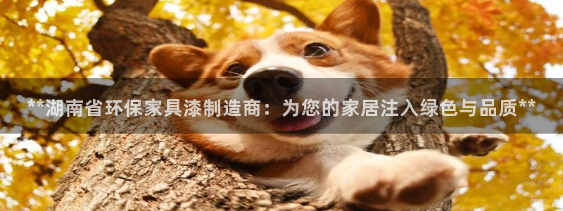 杏耀官网app