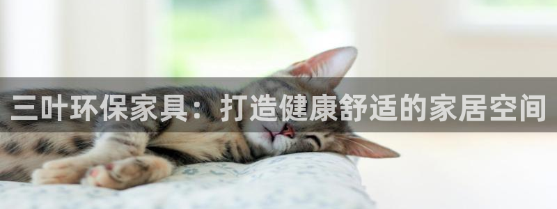 杏耀平台代理怎么赚钱的