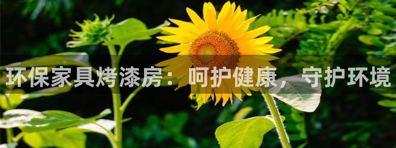 杏耀平台下载