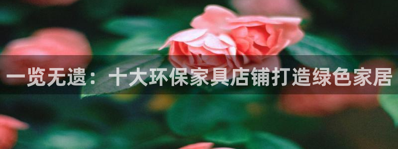 杏耀平台代理