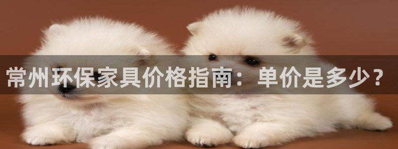 杏耀代理日工资多少