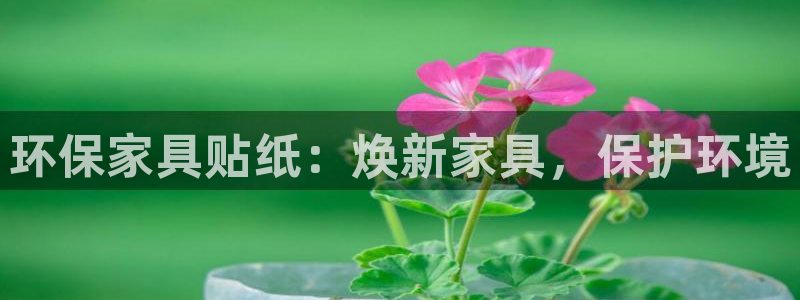 杏耀注册登录平台