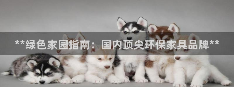 杏耀登陆线路