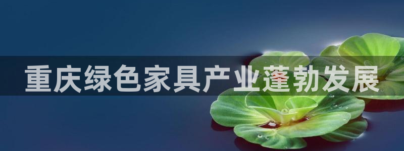 杏耀官网游戏