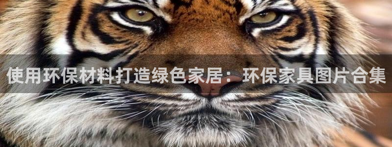 杏耀官网网站中心