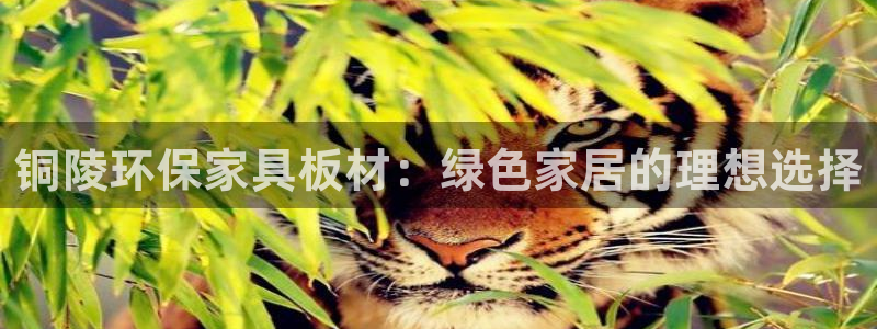 杏耀平台代理怎么赚钱快：铜陵环保家具板材：绿色家居的理想选择