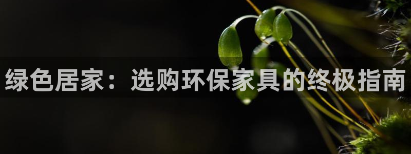杏耀平台登陆地址