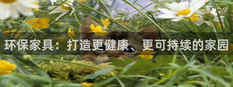 杏耀平台代理注册多少钱一年：环保家具：打造更健康、更可持续的