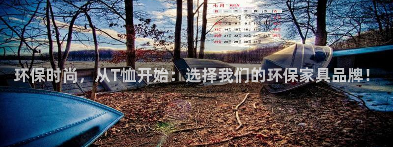 杏耀平台注册问一问：环保时尚，从T恤开始：选择我们的环保家具