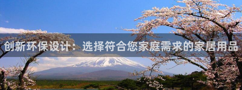 杏耀网页手机登录：创新环保设计：选择符合您家庭需求的家居用品