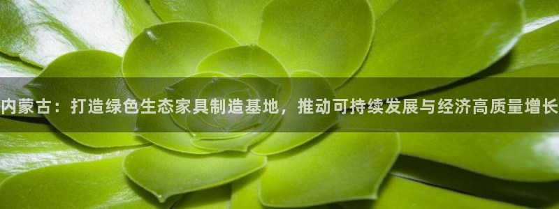 杏耀平台登陆官网：内蒙古：打造绿色生态家具制造基地，推动可持