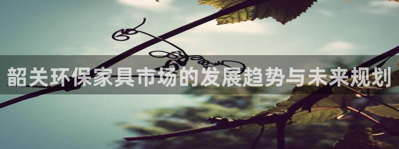 杏耀平台注册地址：韶关环保家具市场的发展趋势与未来规划