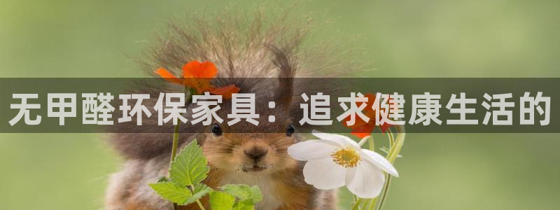 杏耀注册代理：无甲醛环保家具：追求健康生活的