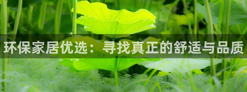 杏耀网址官网