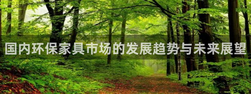 杏耀管网登录：国内环保家具市场的发展趋势与未来展望