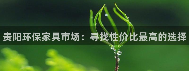 杏耀平台代理登录网址是什么：贵阳环保家具市场：寻找性价比最高