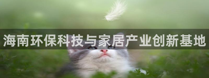 杏耀平台待遇：海南环保科技与家居产业创新基地