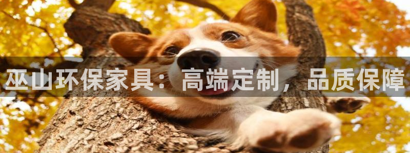 杏耀平台线路测速：巫山环保家具：高端定制，品质保障