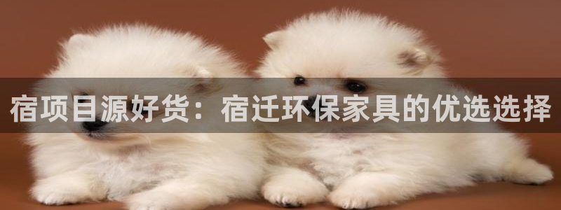 杏耀平台一安全注册入口：宿项目源好货：宿迁环保家具的优选选择
