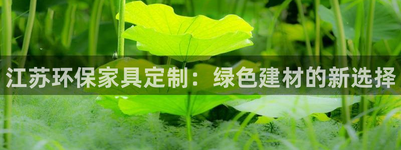 杏耀开户app下载：江苏环保家具定制：绿色建材的新选择