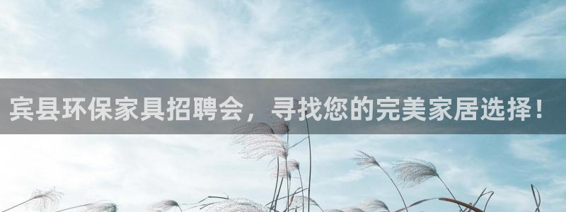 杏耀平台网站是什么：宾县环保家具招聘会，寻找您的完美家居选择