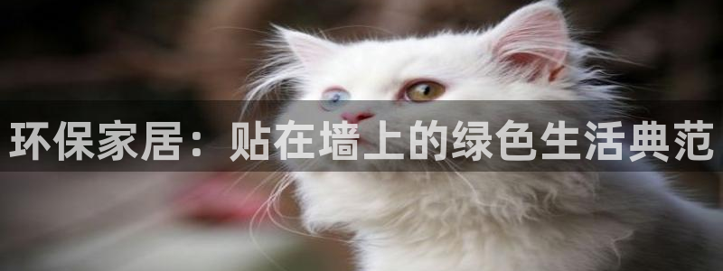 杏耀平台官方网站下载