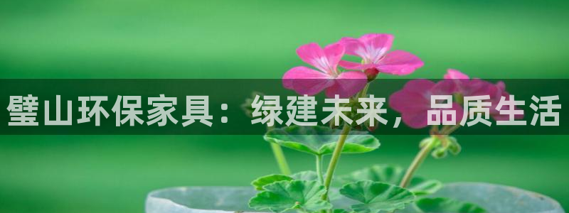 杏耀平台线路：璧山环保家具：绿建未来，品质生活