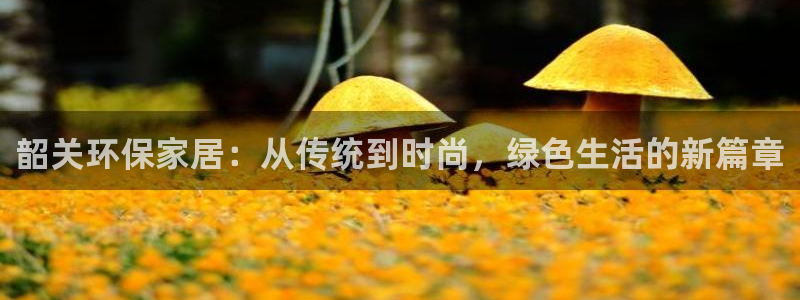 杏耀主管qq