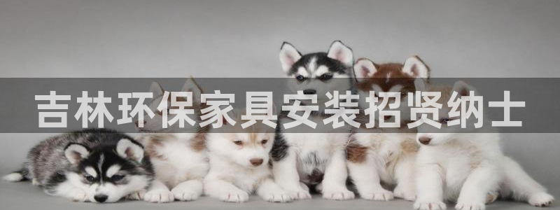 杏耀平台注册入口：吉林环保家具安装招贤纳士